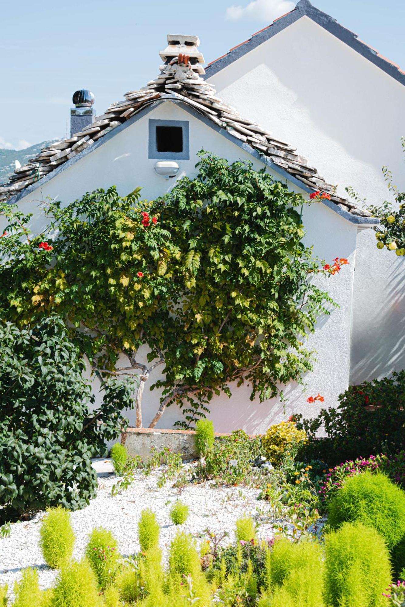 Blizna DonjaHouse Camellia With Fenced Pool And Playground别墅 外观 照片
